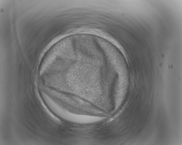 X0000082741525200702232359