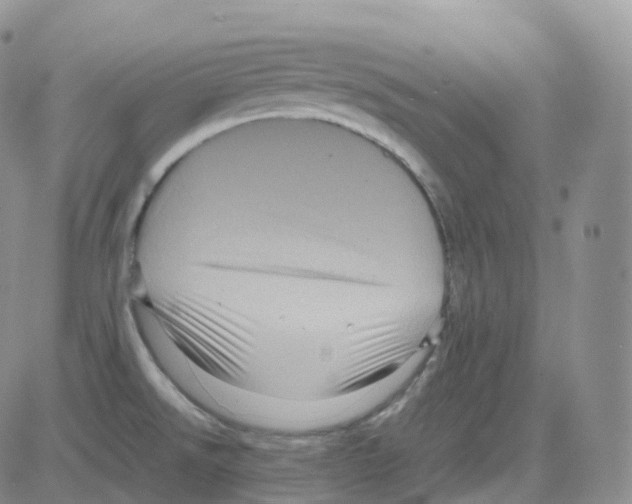 X0000082741526200702240000