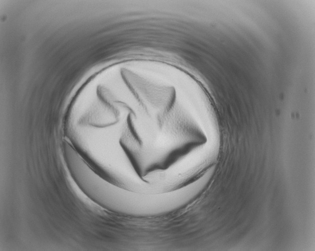 X0000082741531200702240000