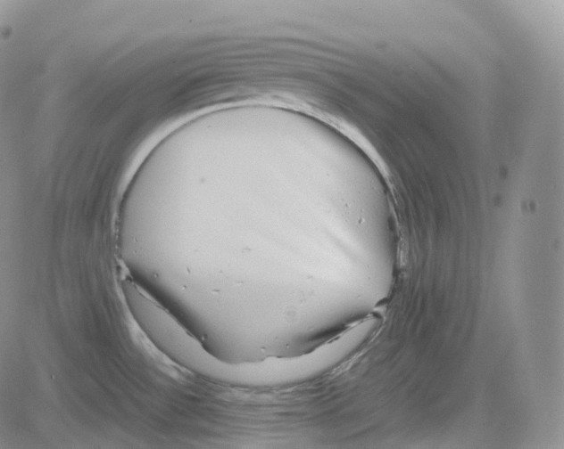 X0000082741532200702240000