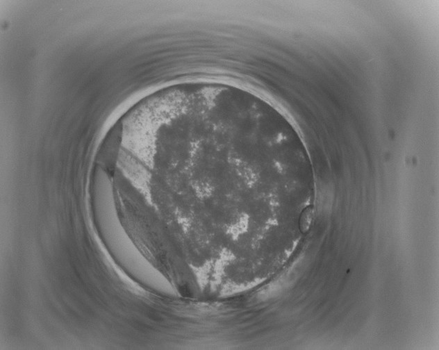 X0000082741533200702240000