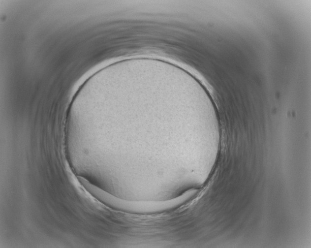 X0000082741534200702240000