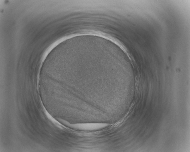 X0000082741535200702240000