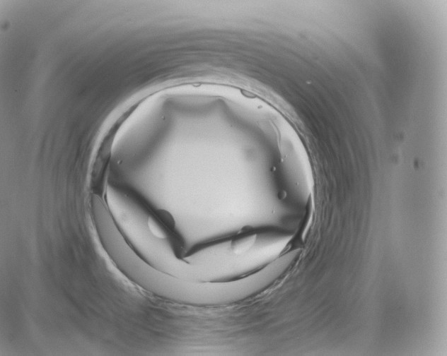 X0000082741536200702240000