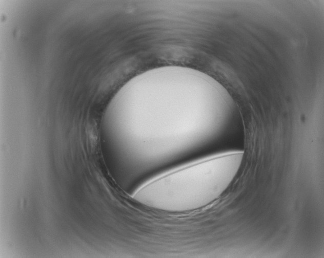 X0000082750040200701261107