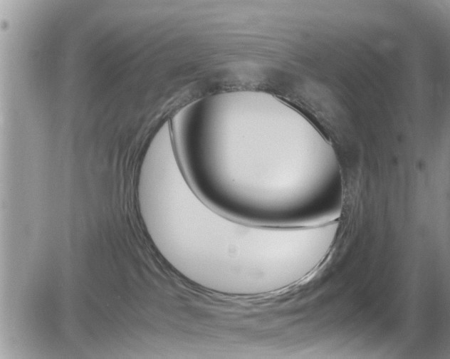 X0000082750045200701261107