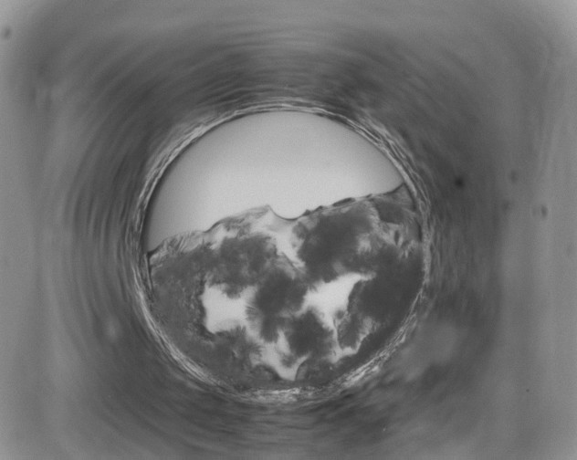 X0000082750049200701261106