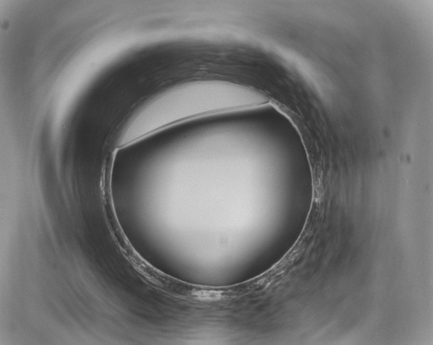 X0000082750052200701261106