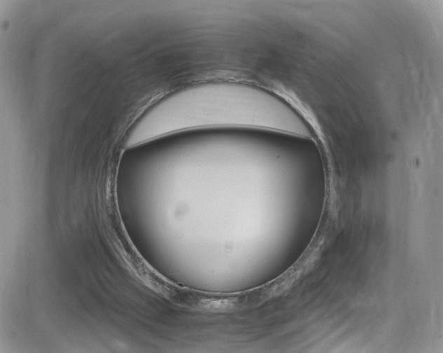 X0000082750057200701261106
