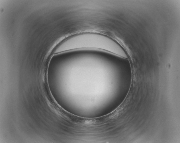 X0000082750060200701261106