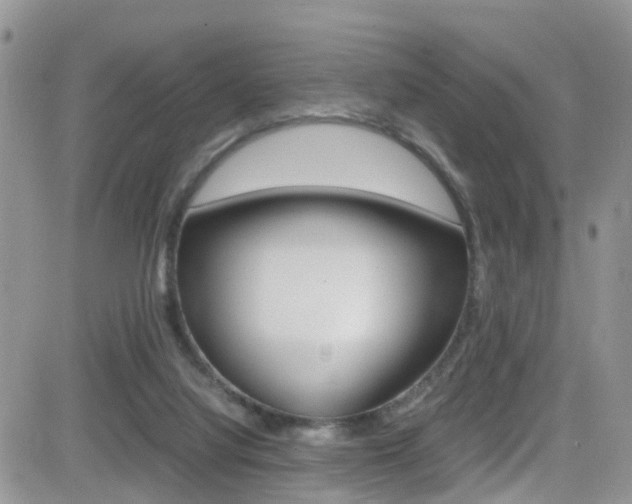 X0000082750068200701261106