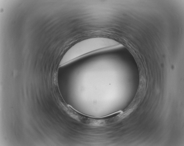 X0000082750096200701261106
