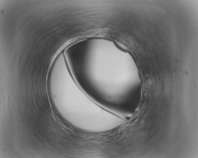 X0000082750100200701261106