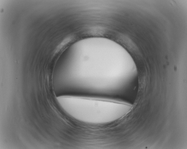 X0000082750120200701261105