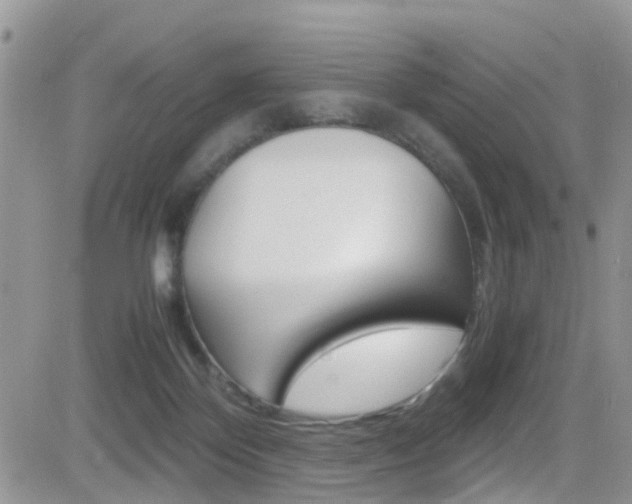 X0000082750124200701261105