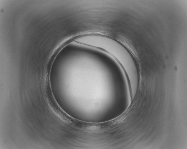 X0000082750156200701261104