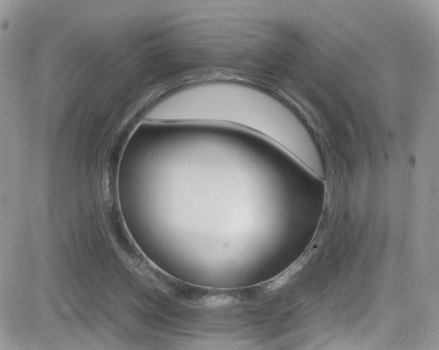 X0000082750158200701261104