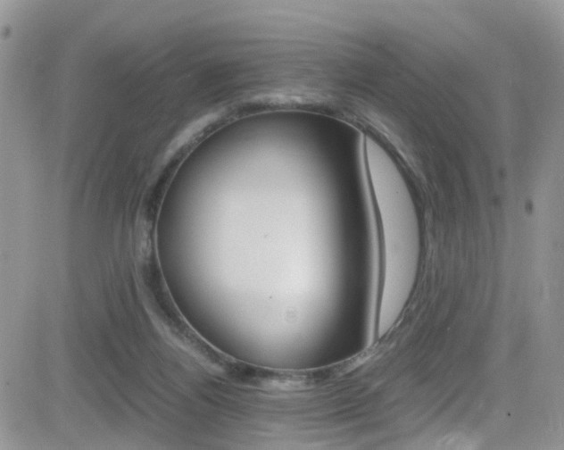 X0000082750164200701261104