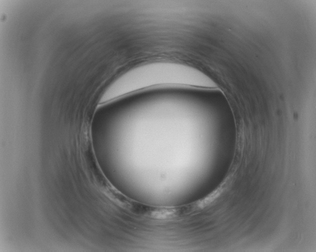 X0000082750172200701261105