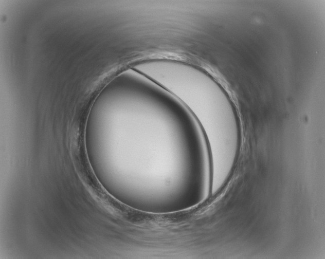 X0000082750201200701261104