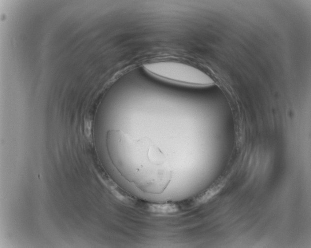X0000082750281200701261103
