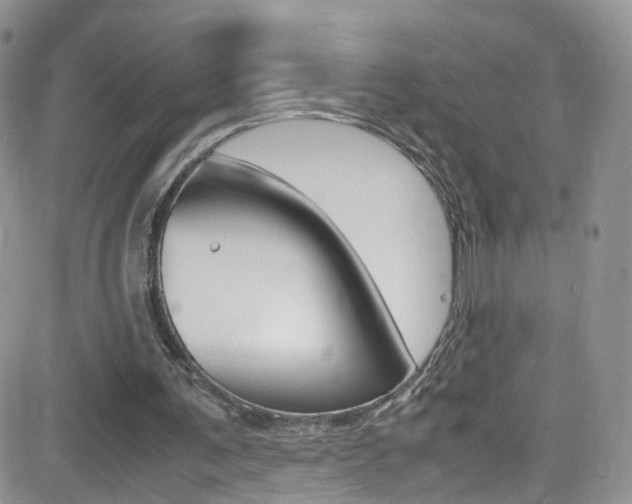 X0000082750291200701261103