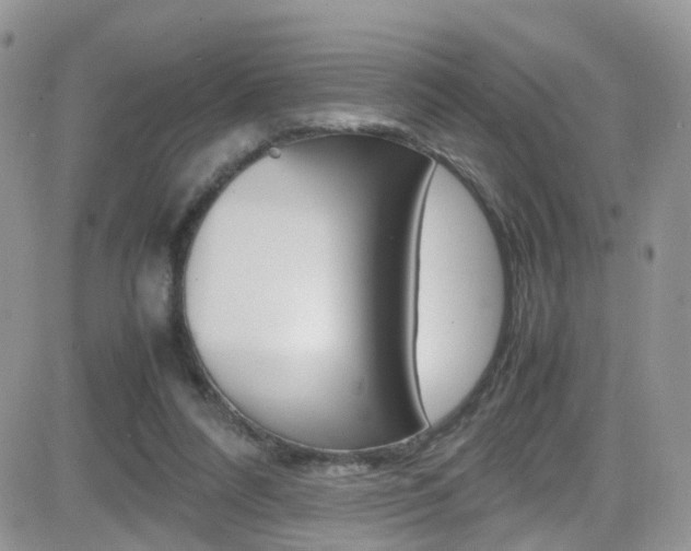 X0000082750304200701261102