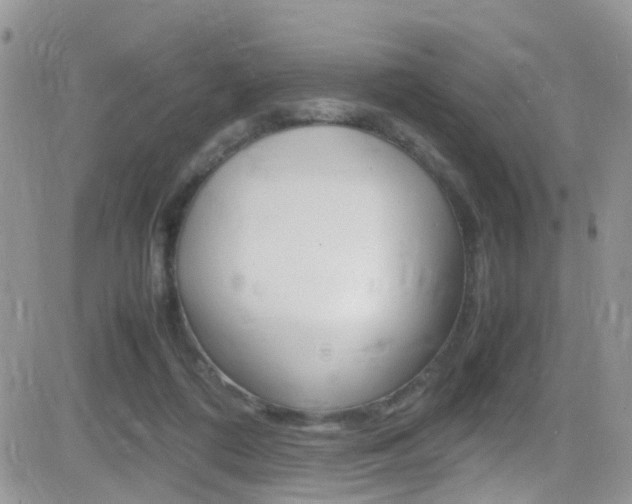 X0000082750312200701261102