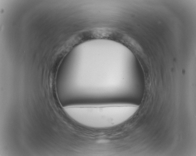 X0000082750315200701261102