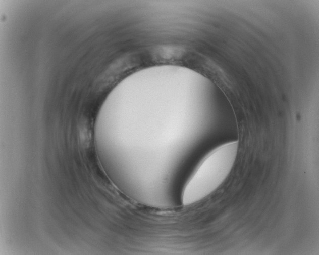 X0000082750324200701261102