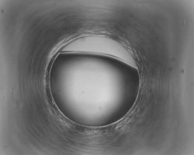 X0000082750340200701261101