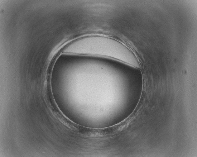 X0000082750344200701261101