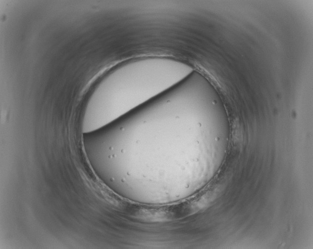 X0000082750351200701261101