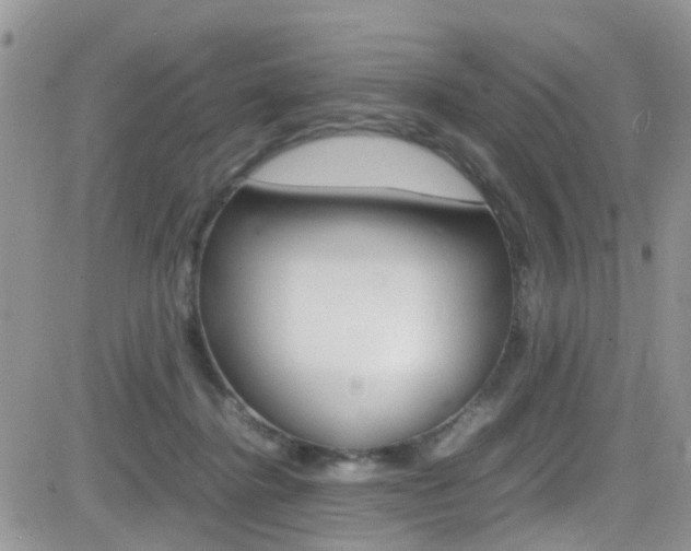 X0000082750364200701261101