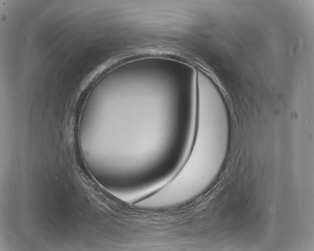 X0000082750387200701261101