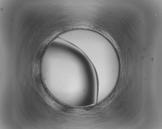 X0000082750393200701261101