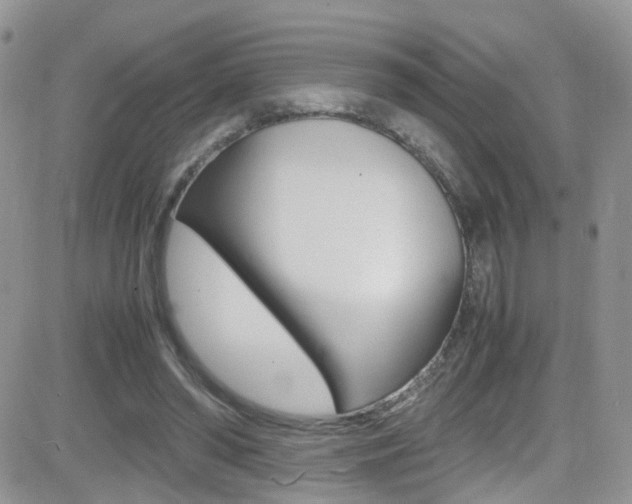 X0000082750398200701261101