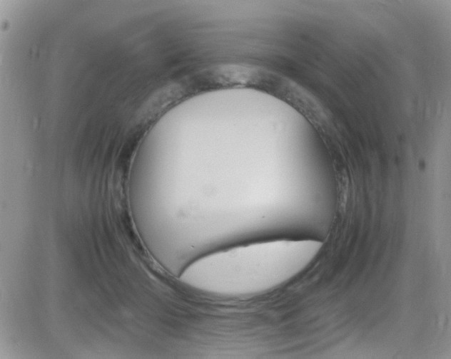 X0000082750414200701261101