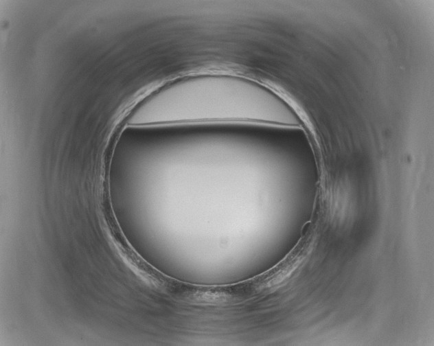 X0000082750437200701261059