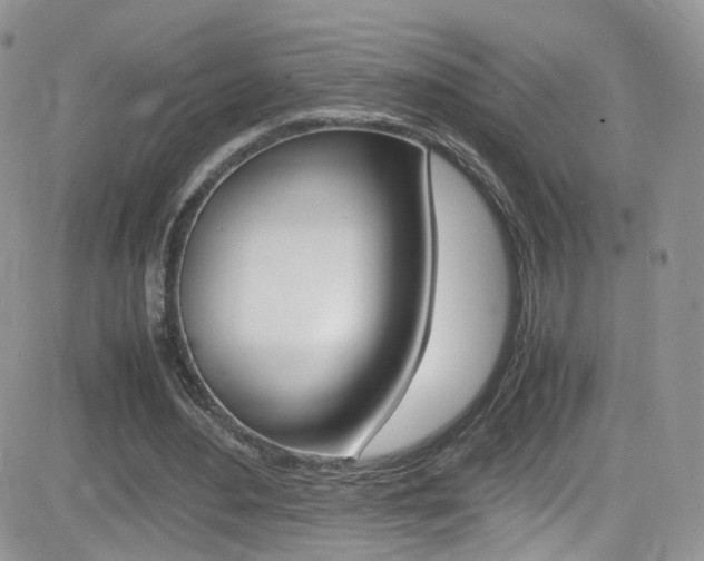 X0000082750484200701261059