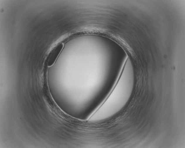 X0000082750488200701261059