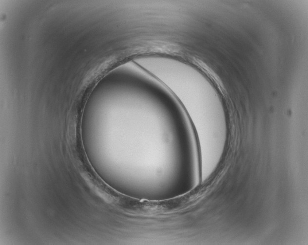 X0000082750493200701261059