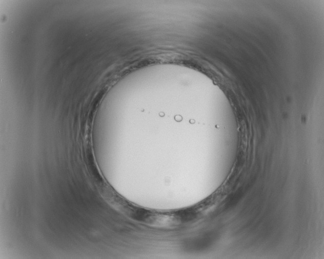 X0000082750507200701261059