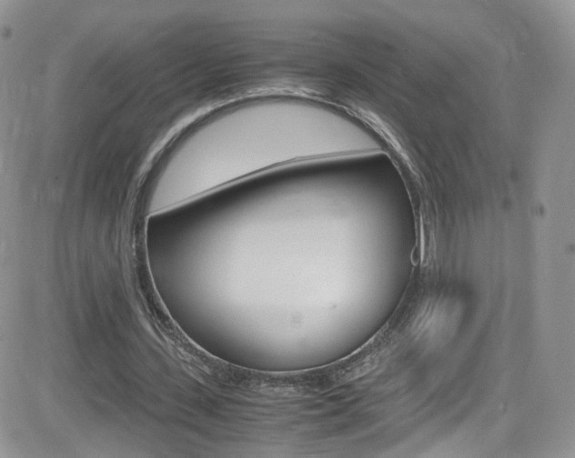 X0000082750531200701261058