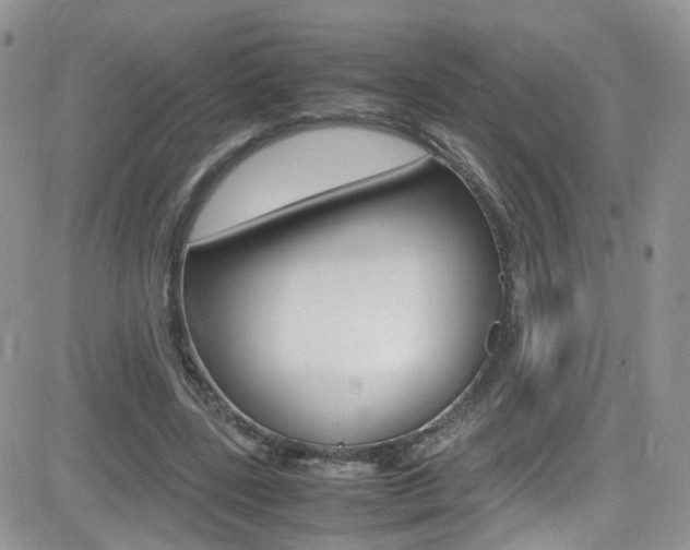 X0000082750539200701261058