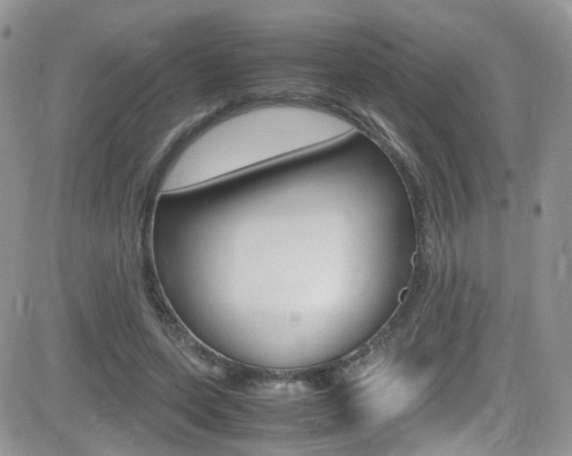 X0000082750543200701261058