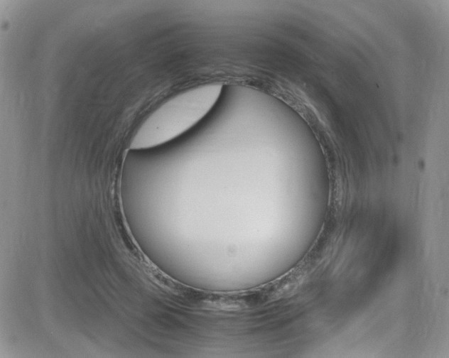X0000082750545200701261058