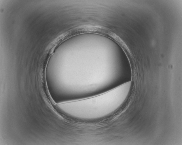 X0000082750581200701261058