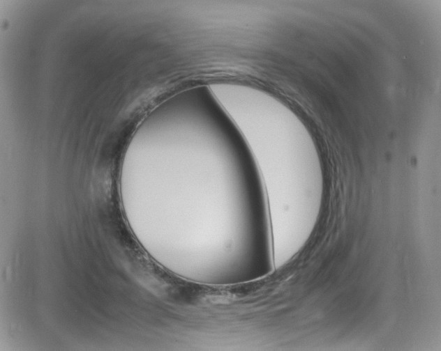 X0000082750595200701261058