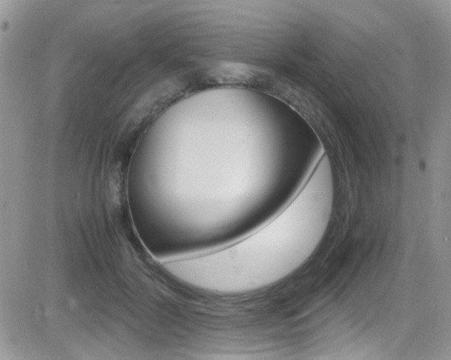 X0000082750604200701261057